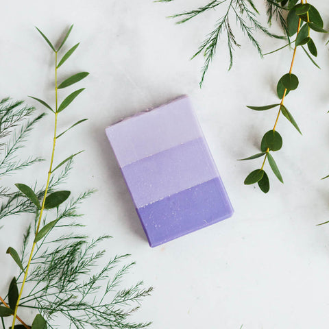 Lavender Fields Body Bar